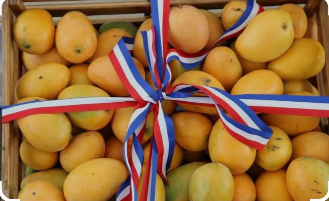 df978c23-4a06-4efc-bdd6-33bf01acaa88